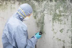 Best Real Estate Mold Inspection  in Sylvania, GA